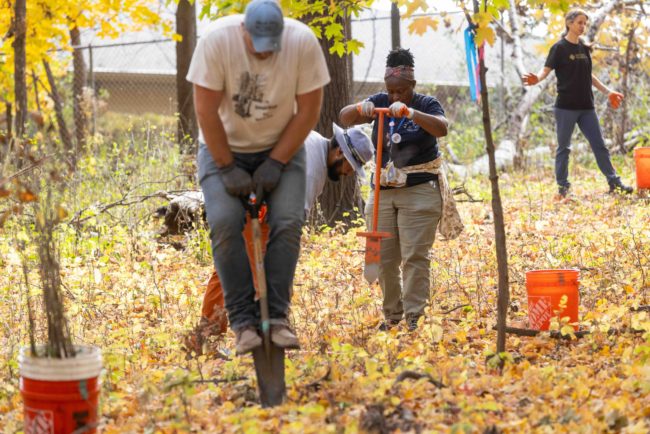 (Source: Hennepin County)